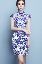 Short Qipao / Cheongsam Dress in Blue and White Floral Print