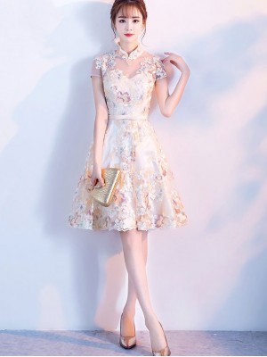 Embroidered Illusion A-line Qipao / Cheongsam Dress