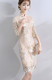 Champagne Embroidered Qipao / Cheongsam Dress with Half Sleeve