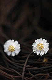 Tiny Daisy Silver Stud Earring