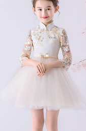 Pink Embroidered Kid Flower Girls Tulle Birthday Wedding Cheongsam Dress