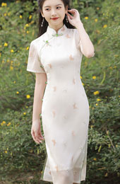 Embroidered Butterfly Cheongsam Qipao Dress