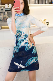 Clearance Vintage Print Cheongsam Qipao Dress